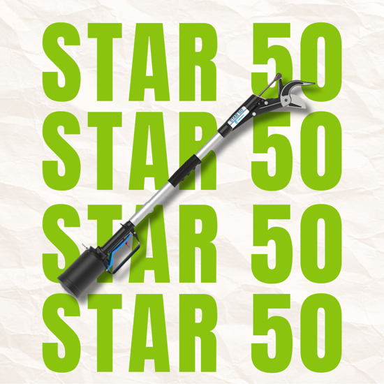 Picture of CAMPAGNOLA Star 50 - Pneumatikus magassági ágvágó egyenes pengével (3m kiterjesztő rúddal)